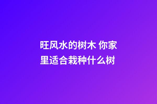 旺风水的树木 你家里适合栽种什么树